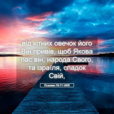 Picture 05 - Псалми 78:71 UKR - від кітних овечок його Він - Bible Verse Picture