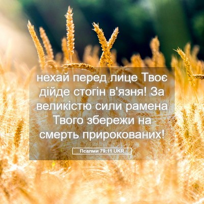 Picture 05 - Псалми 79:11 UKR - нехай перед лице Твоє - Bible Verse Picture
