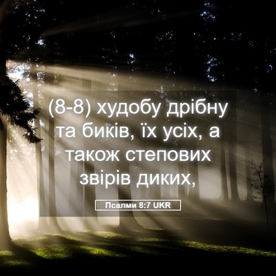 Picture 05 - Псалми 8:7 UKR - (8-8) худобу дрібну та биків, - Bible Verse Picture