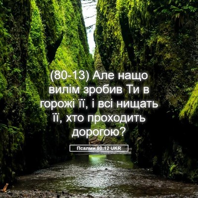 Picture 05 - Псалми 80:12 UKR - (80-13) Але нащо вилім зробив - Bible Verse Picture