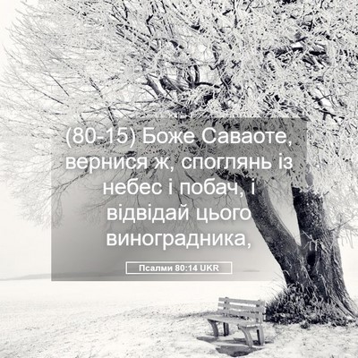 Picture 05 - Псалми 80:14 UKR - (80-15) Боже Саваоте, вернися - Bible Verse Picture