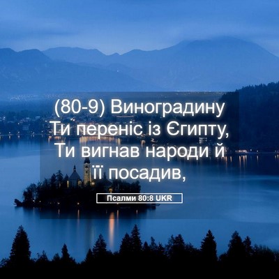 Picture 05 - Псалми 80:8 UKR - (80-9) Виноградину Ти переніс - Bible Verse Picture