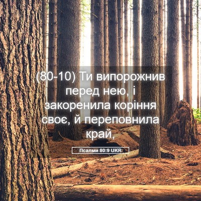 Picture 05 - Псалми 80:9 UKR - (80-10) Ти випорожнив перед - Bible Verse Picture
