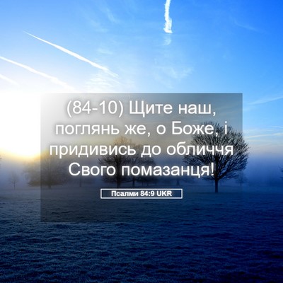 Picture 05 - Псалми 84:9 UKR - (84-10) Щите наш, поглянь же, о - Bible Verse Picture