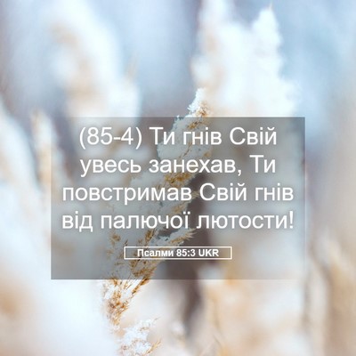 Picture 05 - Псалми 85:3 UKR - (85-4) Ти гнів Свій увесь - Bible Verse Picture