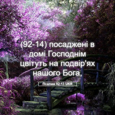 Picture 05 - Псалми 92:13 UKR - (92-14) посаджені в домі - Bible Verse Picture