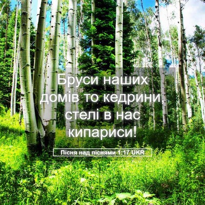 Picture 05 - Пісня над піснями 1:17 UKR - Бруси наших домів то - Bible Verse Picture