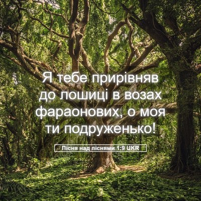 Picture 05 - Пісня над піснями 1:9 UKR - Я тебе прирівняв до лошиці - Bible Verse Picture