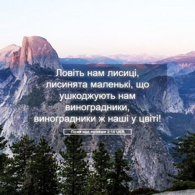 Picture 05 - Пісня над піснями 2:15 UKR - Ловіть нам лисиці, - Bible Verse Picture