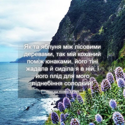 Picture 05 - Пісня над піснями 2:3 UKR - Як та яблуня між лісовими - Bible Verse Picture