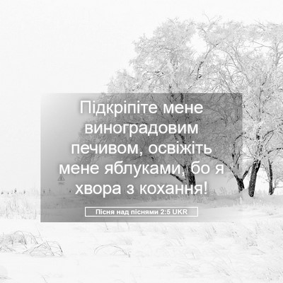 Picture 05 - Пісня над піснями 2:5 UKR - Підкріпіте мене - Bible Verse Picture