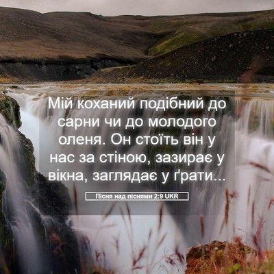 Picture 05 - Пісня над піснями 2:9 UKR - Мій коханий подібний до - Bible Verse Picture