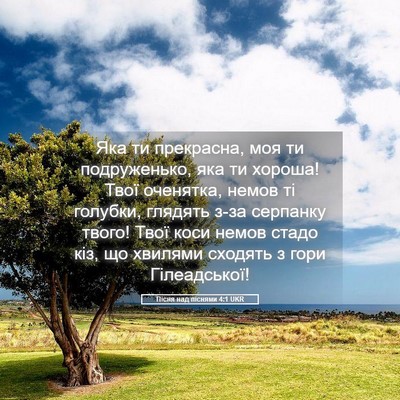 Picture 05 - Пісня над піснями 4:1 UKR - Яка ти прекрасна, моя ти - Bible Verse Picture