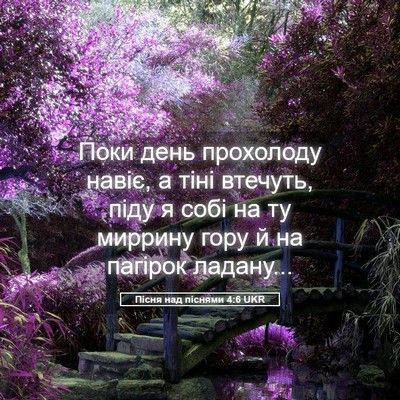 Picture 05 - Пісня над піснями 4:6 UKR - Поки день прохолоду навіє, - Bible Verse Picture