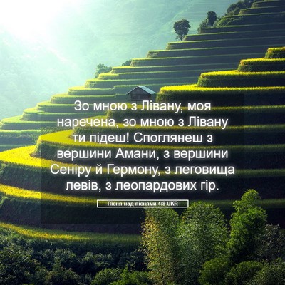 Picture 05 - Пісня над піснями 4:8 UKR - Зо мною з Лівану, моя - Bible Verse Picture