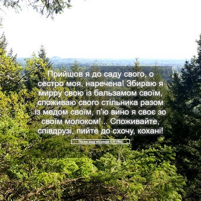 Picture 05 - Пісня над піснями 5:1 UKR - Прийшов я до саду свого, о - Bible Verse Picture