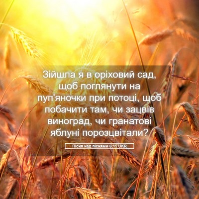 Picture 05 - Пісня над піснями 6:11 UKR - Зійшла я в оріховий сад, - Bible Verse Picture