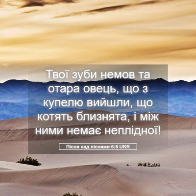 Picture 05 - Пісня над піснями 6:6 UKR - Твої зуби немов та отара - Bible Verse Picture