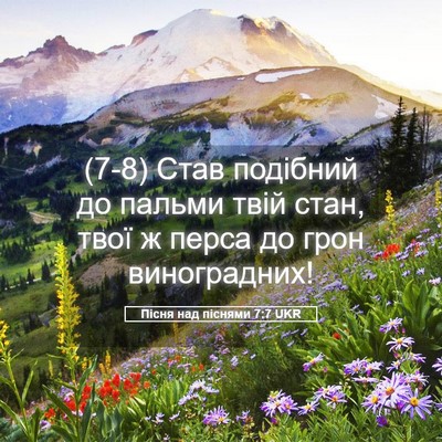 Picture 05 - Пісня над піснями 7:7 UKR - (7-8) Став подібний до пальми - Bible Verse Picture