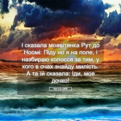 Picture 05 - Рут 2:2 UKR - І сказала моавітянка Рут - Bible Verse Picture
