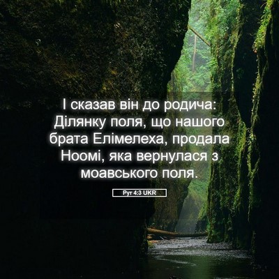 Picture 05 - Рут 4:3 UKR - І сказав він до родича: - Bible Verse Picture
