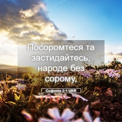 Picture 05 - Софонія 2:1 UKR - Посоромтеся та - Bible Verse Picture