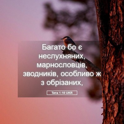 Picture 05 - Тита 1:10 UKR - Багато бо є неслухняних, - Bible Verse Picture
