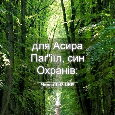 Picture 05 - Числа 1:13 UKR - для Асира Паґ'іїл, син - Bible Verse Picture