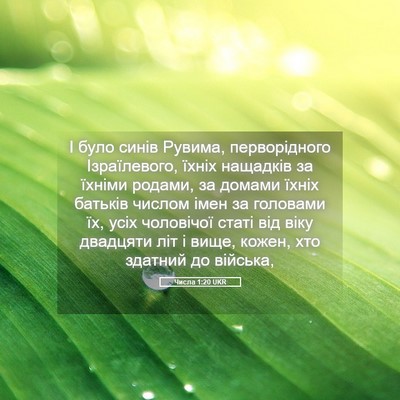 Picture 05 - Числа 1:20 UKR - І було синів Рувима, - Bible Verse Picture