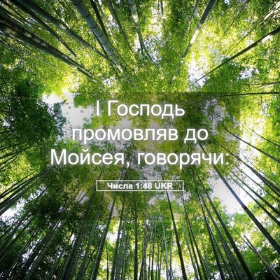 Picture 05 - Числа 1:48 UKR - І Господь промовляв до - Bible Verse Picture
