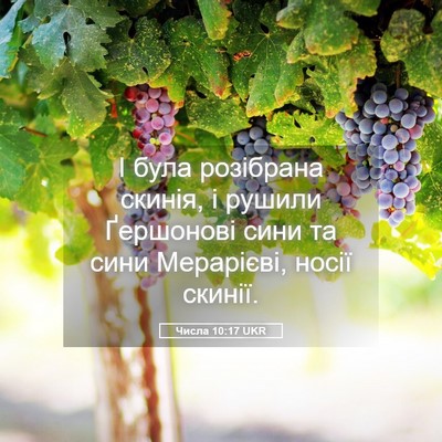 Picture 05 - Числа 10:17 UKR - І була розібрана скинія, і - Bible Verse Picture