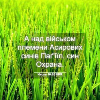 Picture 05 - Числа 10:26 UKR - А над військом племени - Bible Verse Picture