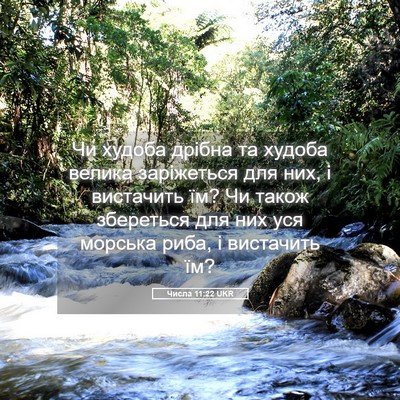 Picture 05 - Числа 11:22 UKR - Чи худоба дрібна та худоба - Bible Verse Picture