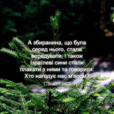 Picture 05 - Числа 11:4 UKR - А збиранина, що була серед - Bible Verse Picture