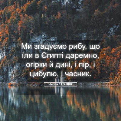 Picture 05 - Числа 11:5 UKR - Ми згадуємо рибу, що їли в - Bible Verse Picture