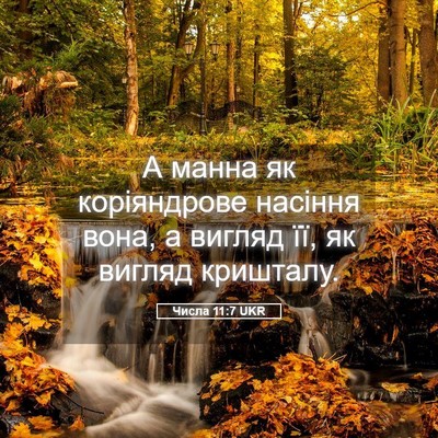 Picture 05 - Числа 11:7 UKR - А манна як коріяндрове - Bible Verse Picture