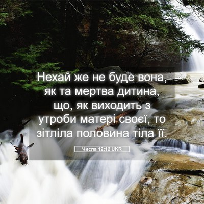 Picture 05 - Числа 12:12 UKR - Нехай же не буде вона, як та - Bible Verse Picture