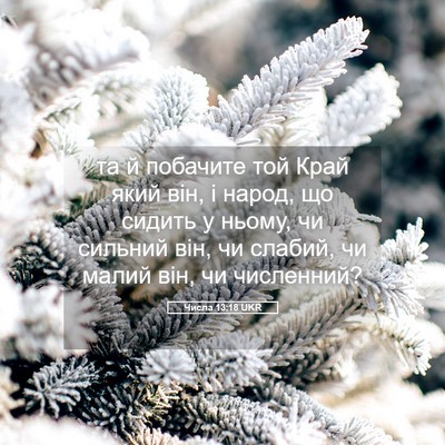 Picture 05 - Числа 13:18 UKR - та й побачите той Край який - Bible Verse Picture