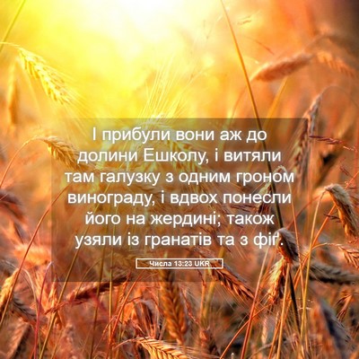 Picture 05 - Числа 13:23 UKR - І прибули вони аж до долини - Bible Verse Picture