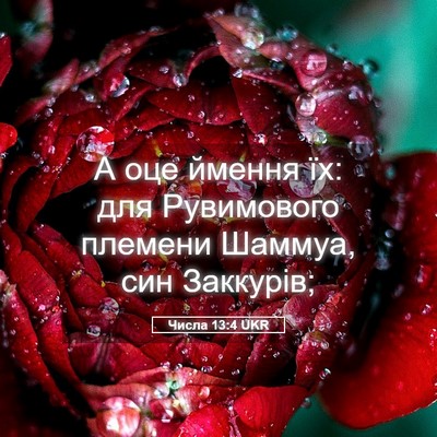 Picture 05 - Числа 13:4 UKR - А оце ймення їх: для - Bible Verse Picture