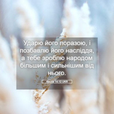 Picture 05 - Числа 14:12 UKR - Ударю його поразою, і - Bible Verse Picture