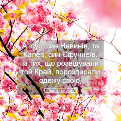 Picture 05 - Числа 14:6 UKR - А Ісус, син Навинів, та - Bible Verse Picture