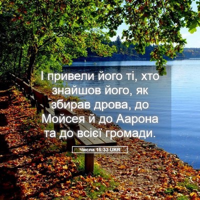 Picture 05 - Числа 15:33 UKR - І привели його ті, хто - Bible Verse Picture