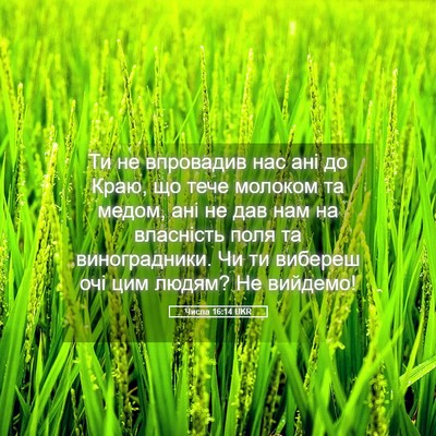 Picture 05 - Числа 16:14 UKR - Ти не впровадив нас ані до - Bible Verse Picture