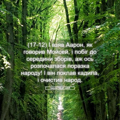 Picture 05 - Числа 16:47 UKR - (17-12) І взяв Аарон, як - Bible Verse Picture