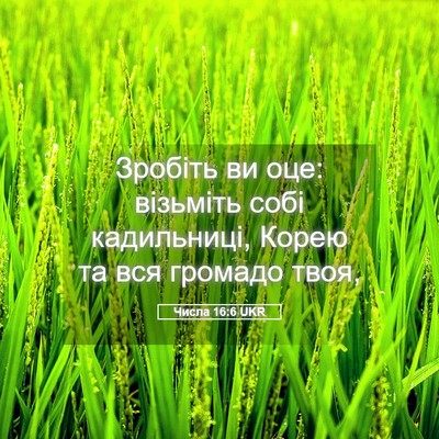 Picture 05 - Числа 16:6 UKR - Зробіть ви оце: візьміть - Bible Verse Picture