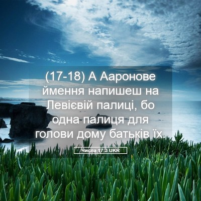 Picture 05 - Числа 17:3 UKR - (17-18) А Ааронове ймення - Bible Verse Picture