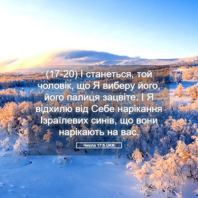 Picture 05 - Числа 17:5 UKR - (17-20) І станеться, той - Bible Verse Picture