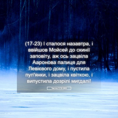 Picture 05 - Числа 17:8 UKR - (17-23) І сталося назавтра, і - Bible Verse Picture