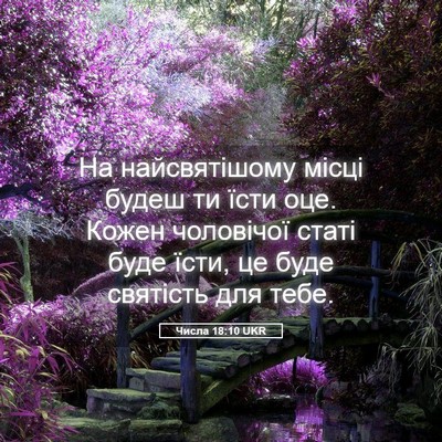 Picture 05 - Числа 18:10 UKR - На найсвятішому місці - Bible Verse Picture